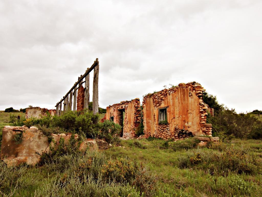 Hlosi Game Lodge - Amakhala Game Reserve Buyskloof Kültér fotó