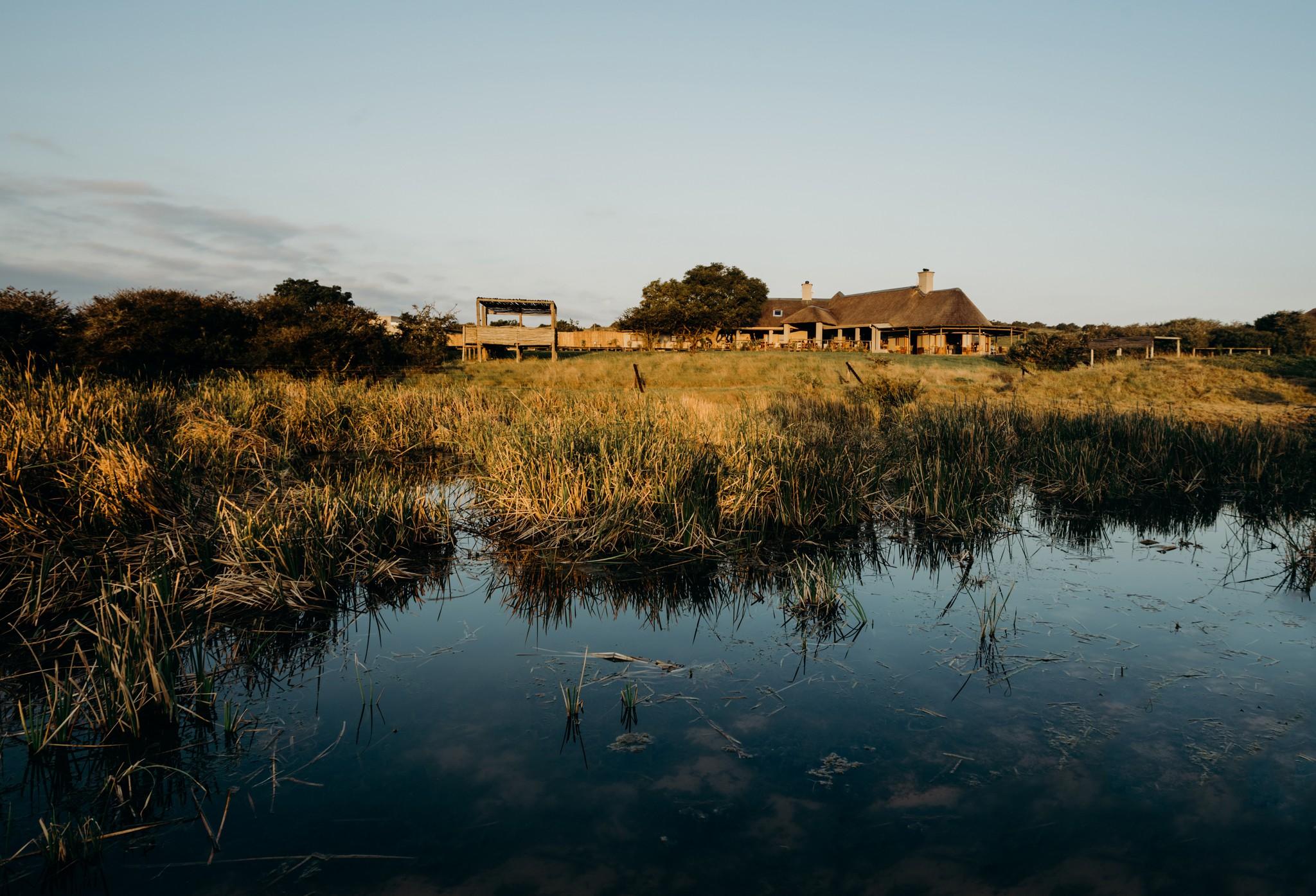 Hlosi Game Lodge - Amakhala Game Reserve Buyskloof Kültér fotó