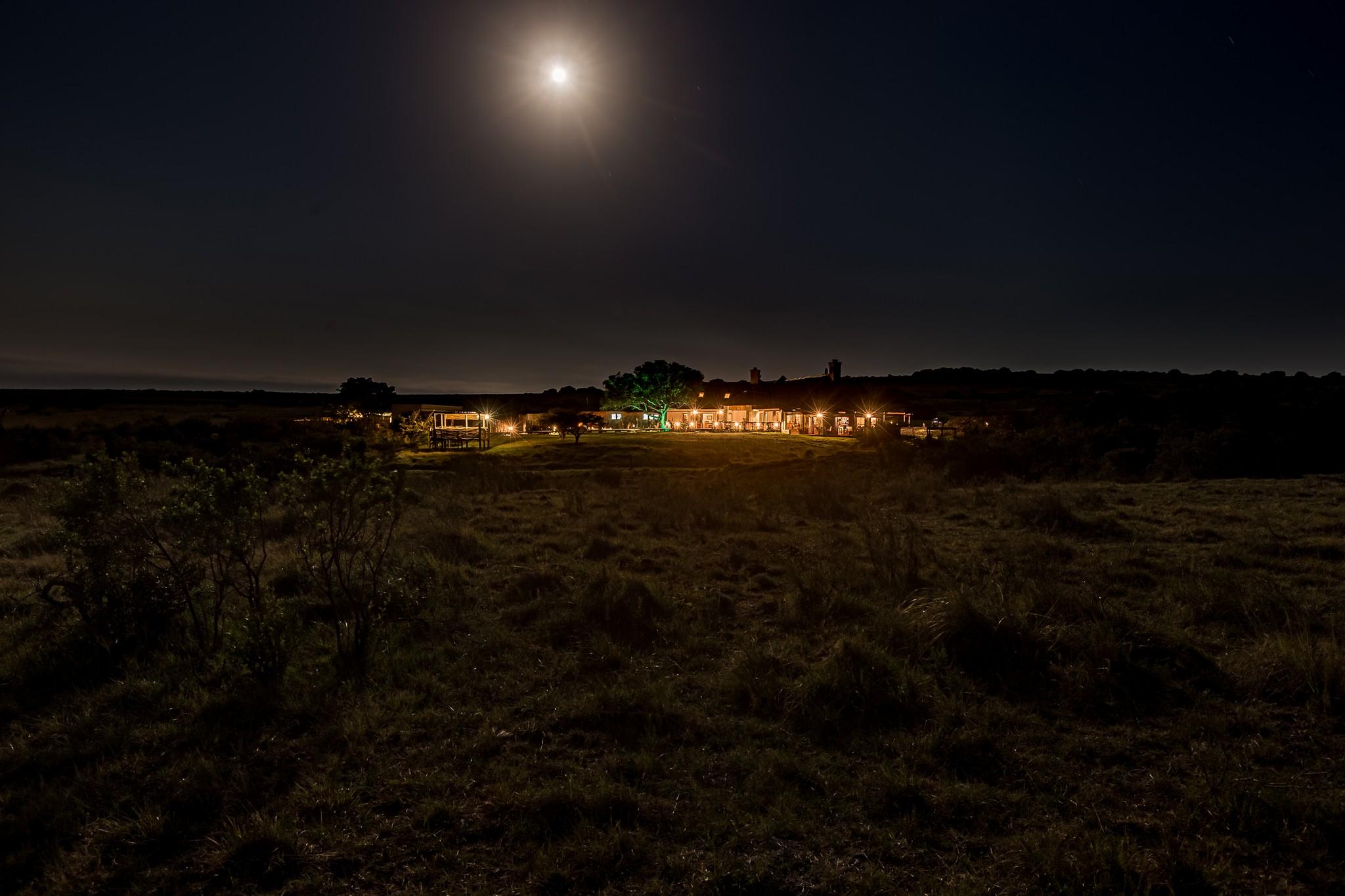 Hlosi Game Lodge - Amakhala Game Reserve Buyskloof Kültér fotó