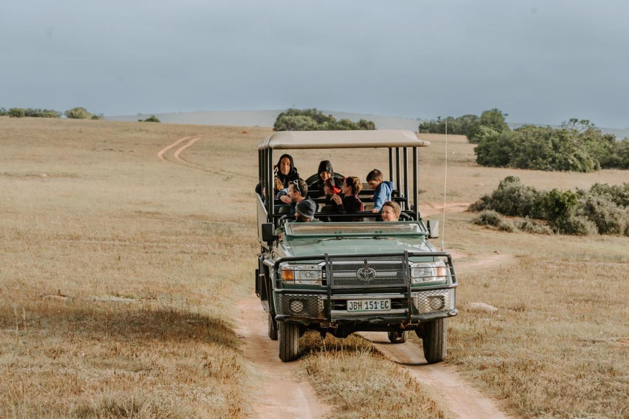 Hlosi Game Lodge - Amakhala Game Reserve Buyskloof Kültér fotó