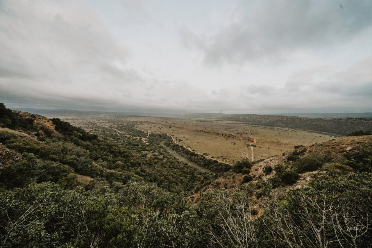 Hlosi Game Lodge - Amakhala Game Reserve Buyskloof Kültér fotó