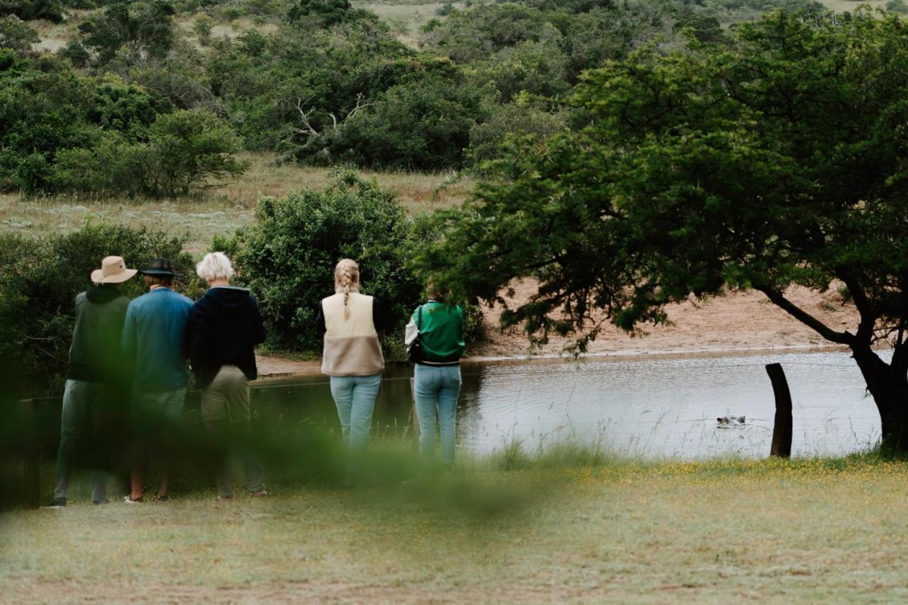 Hlosi Game Lodge - Amakhala Game Reserve Buyskloof Kültér fotó