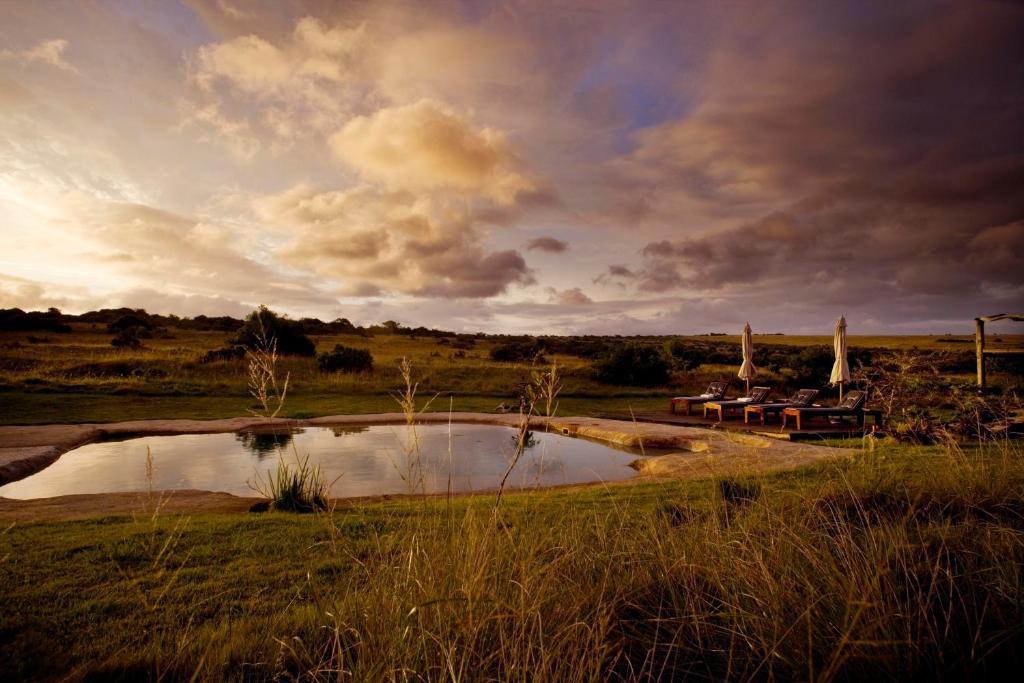 Hlosi Game Lodge - Amakhala Game Reserve Buyskloof Kültér fotó