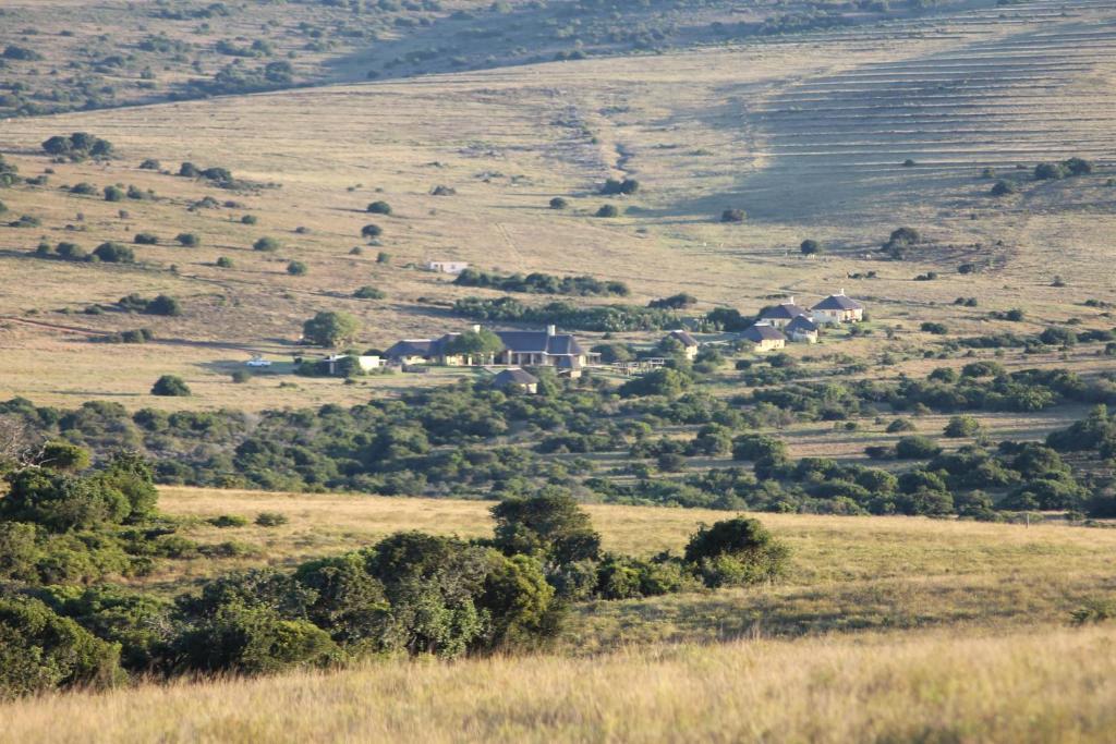 Hlosi Game Lodge - Amakhala Game Reserve Buyskloof Kültér fotó