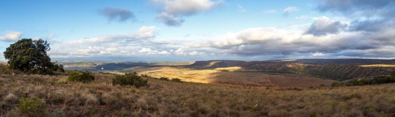 Hlosi Game Lodge - Amakhala Game Reserve Buyskloof Kültér fotó